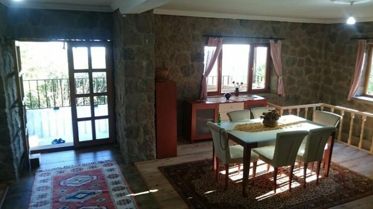 Taif Villa - Photo3