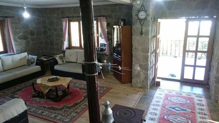 Taif Villa - Photo4