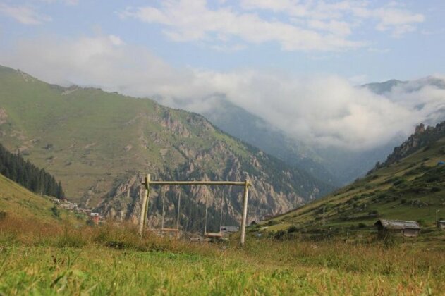 Taleena Trabzon - Photo5