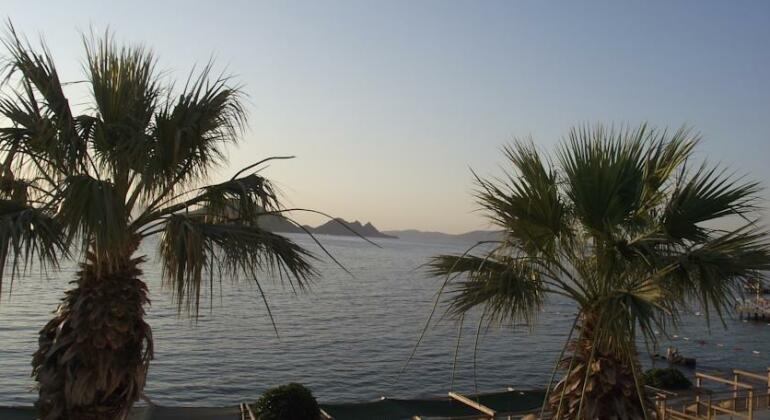 Ado Beach Hotel - Photo3