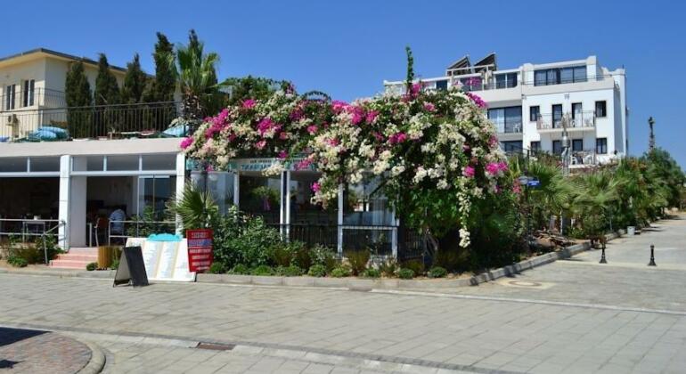 Cemre Hotel - Photo2