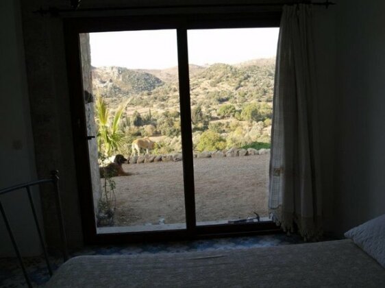 Eco Farm Hotel - Photo4