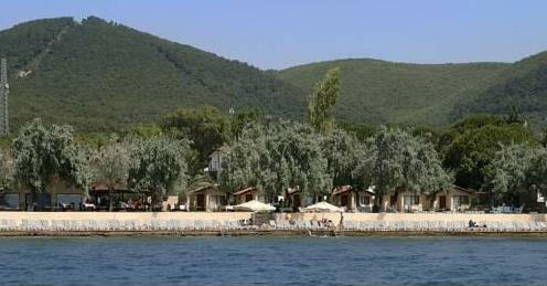 Palm Motel Beach Club - Photo4