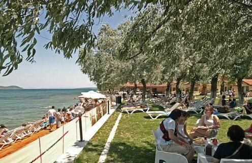 Palm Motel Beach Club - Photo5