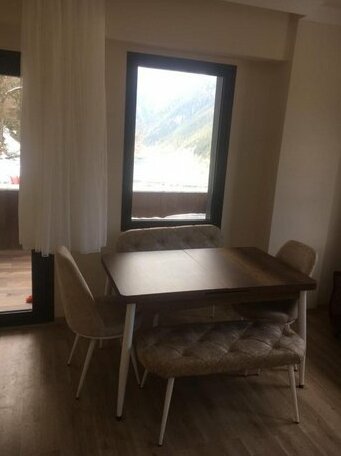Sahin Apart Uzungol - Photo3