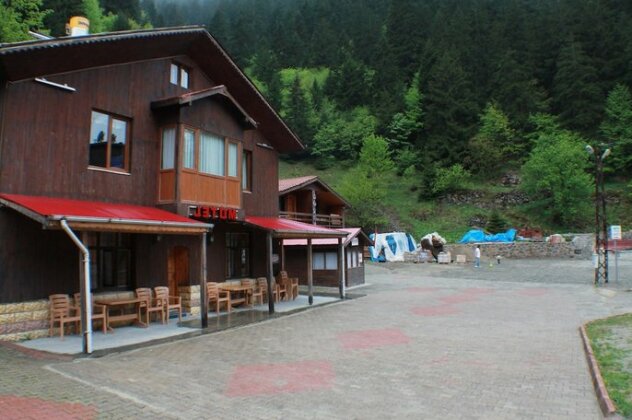 Uzungol Motel - Photo2