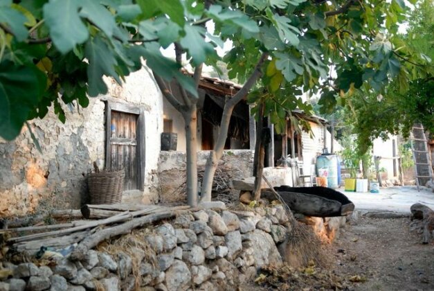 Exclusive Boutique Hotel - Photo2
