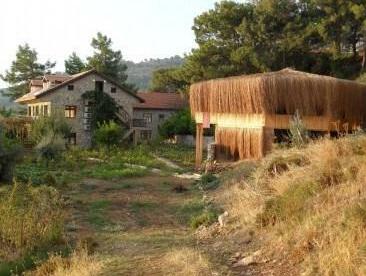 Faralya Hotel - Photo4