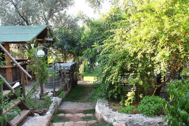 Sultan Camp - Photo2