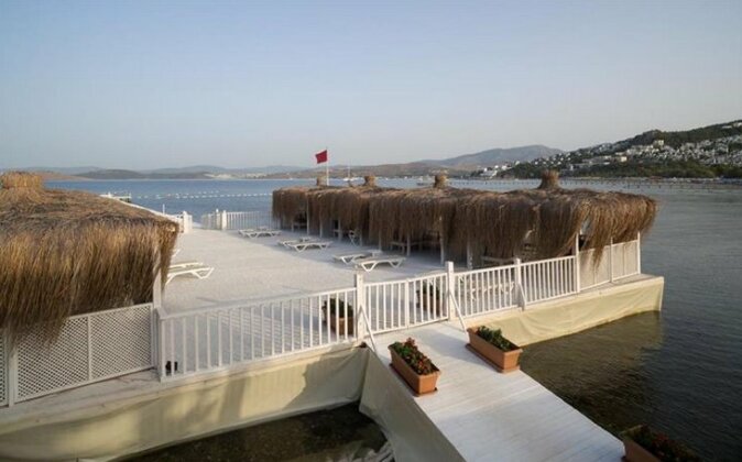 Cocos The Club - Photo2