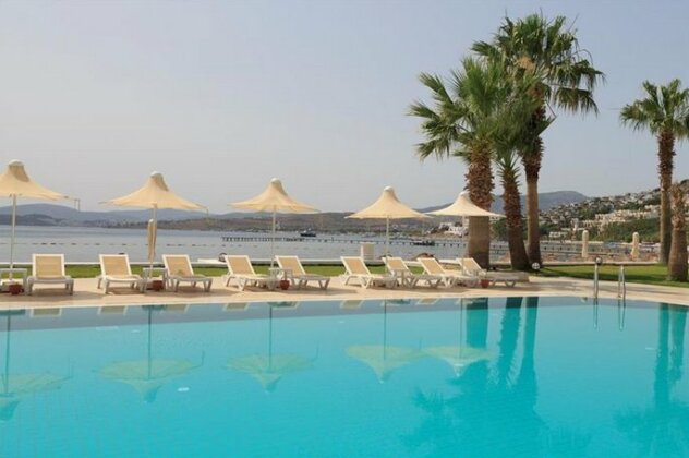 Cocos The Club - Photo3