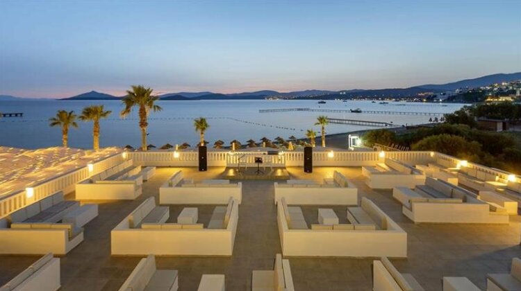 Cocos The Club - Photo5