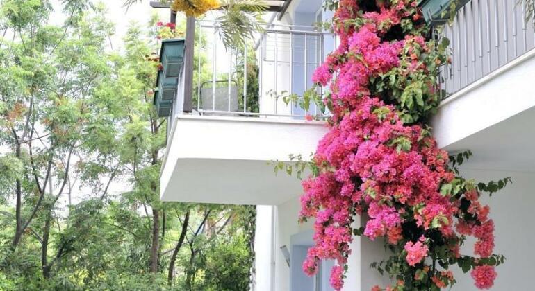 Satsuma Suites - Photo3