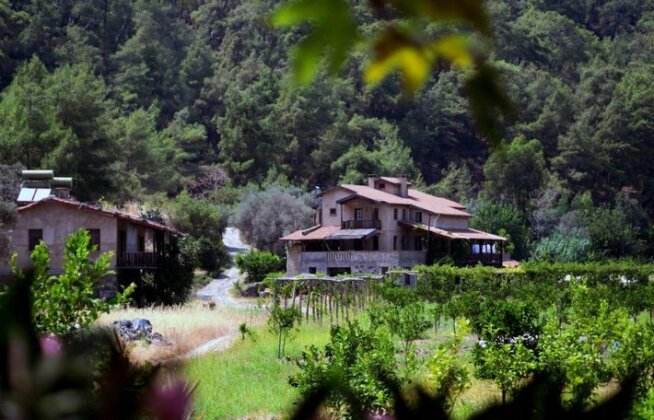 Pastoral Valley Farm - Photo2