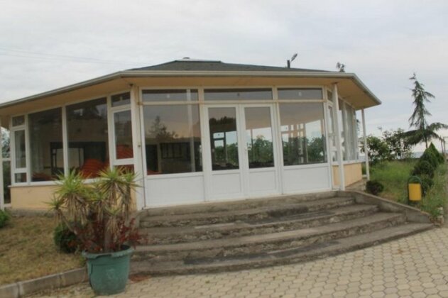 Saralking - Photo5