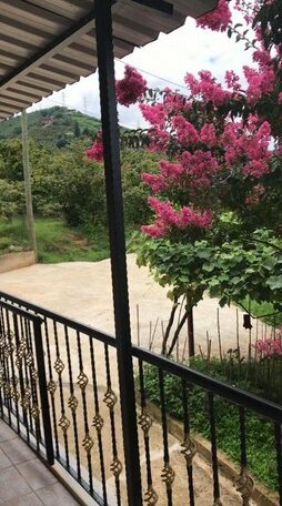 Seyri Deniz Villa - Photo4