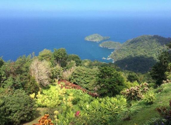 Mahogany Ridge - Photo5