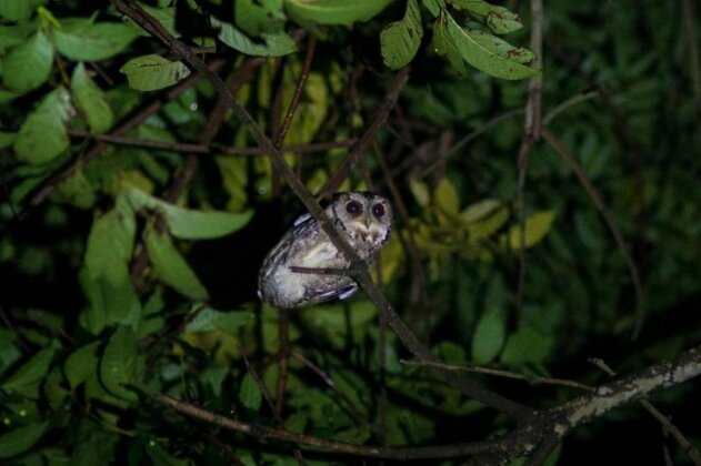 Juhu Farmstay - Photo2