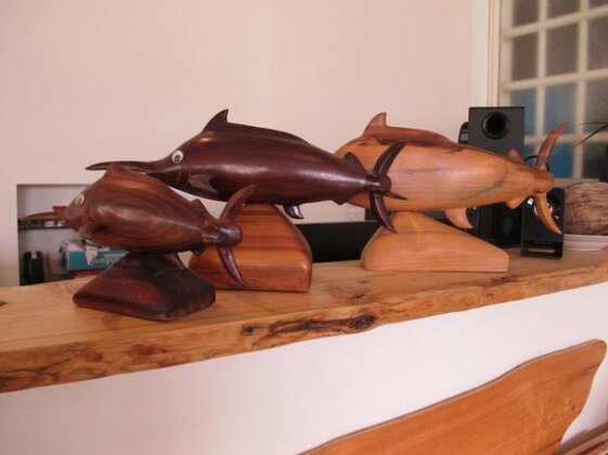 Woodenfish - Photo3