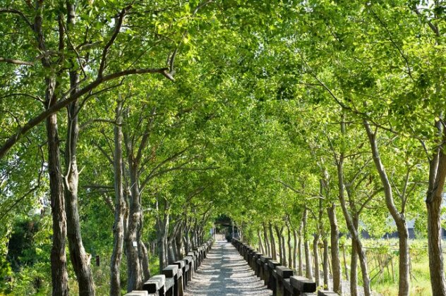 Liu Li Xian Jing Homestay - Photo3