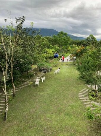 Oliver Tree B&B - Photo3