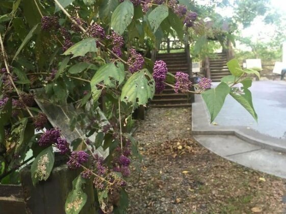 Shin-Liu Garden B&B - Photo4