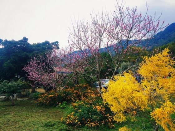 Jin Ping Homestay - Photo4