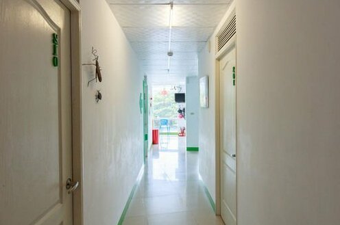 Pure Green Backpackers - Photo3