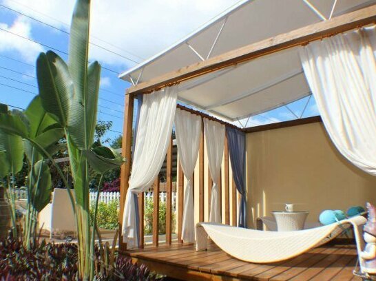 Sun Star Bed and Breakfast - Photo5