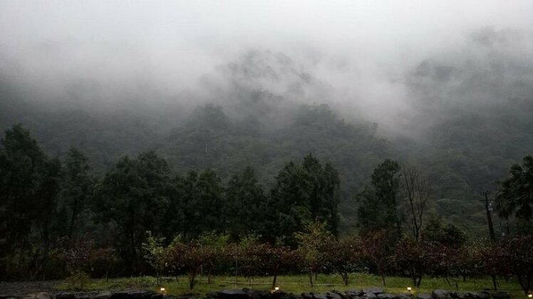 Qing Song B&B - Photo3