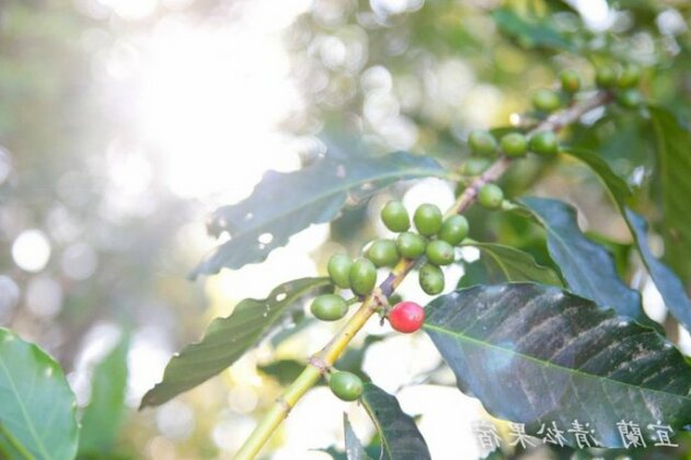 Qing Song B&B - Photo4