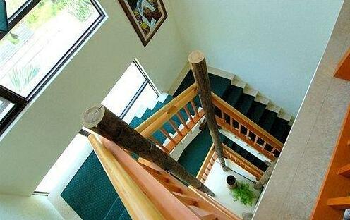 Palm Villa Guesthouse - Photo2
