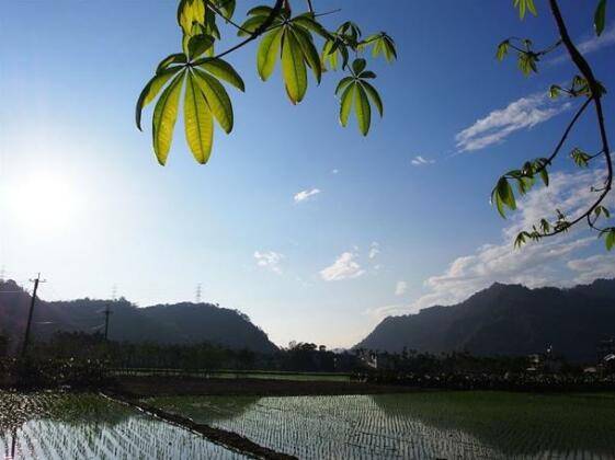 Palm Villa Guesthouse - Photo4