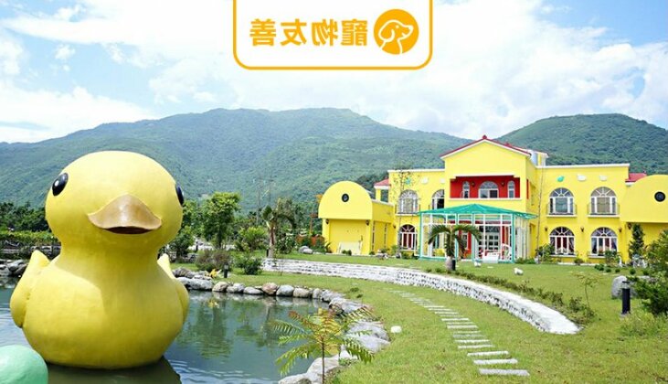 Ducking House - Photo2