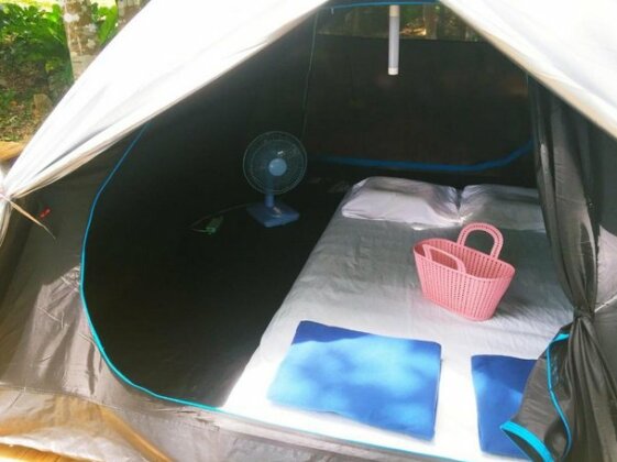 Jimmy Explorer campsite and dive center - Photo3