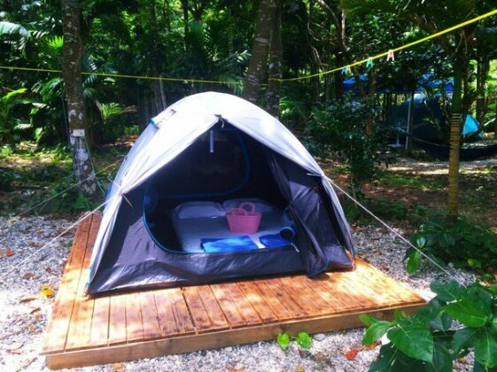 Jimmy Explorer campsite and dive center - Photo5