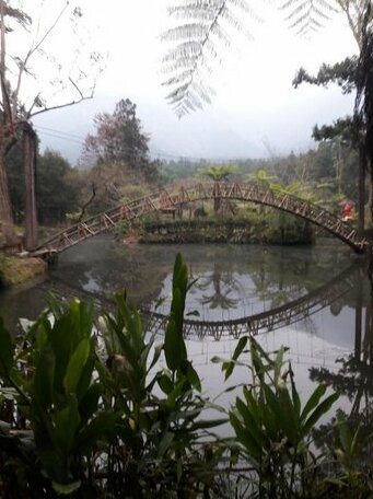 New Holy Land BnB 2 - Photo4