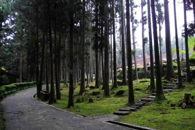 Xitou Youth Activity Center Hostel - Photo2