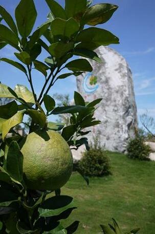 Crescent Moon Farm - Photo2