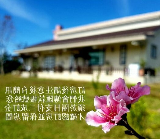 Forest Life B&B - Photo4