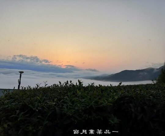 Epintea Homestay - Photo2