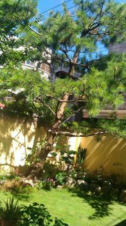 SunLight House - Photo3