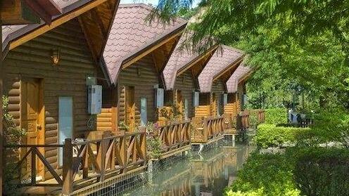 Tai-Yi Red Maple Resort - Photo2