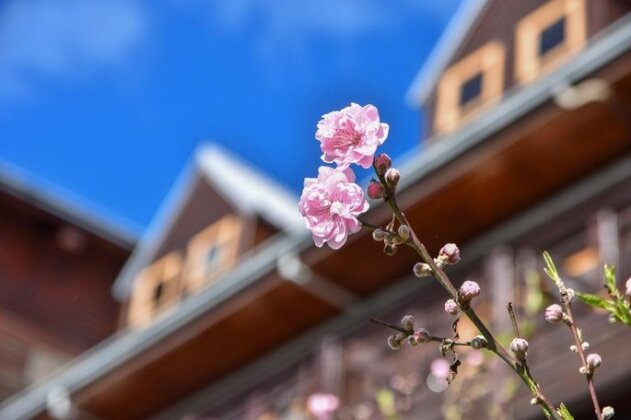 Beverly B&B - Photo3