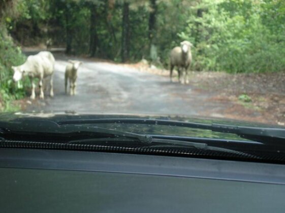 Winlu Vacation Farm - Photo3