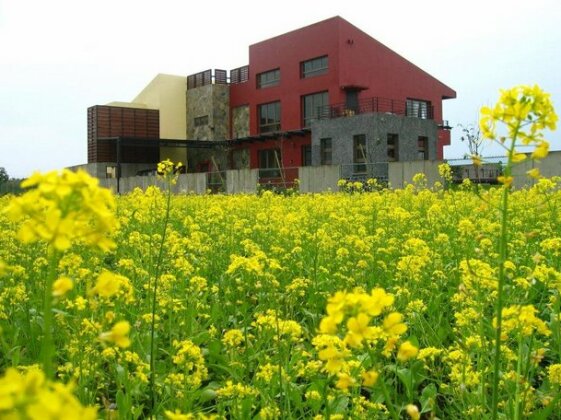Casa de Angie - Photo2