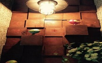Gostudy Homestay - Photo5