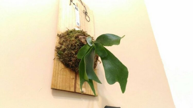 I L House - Photo3