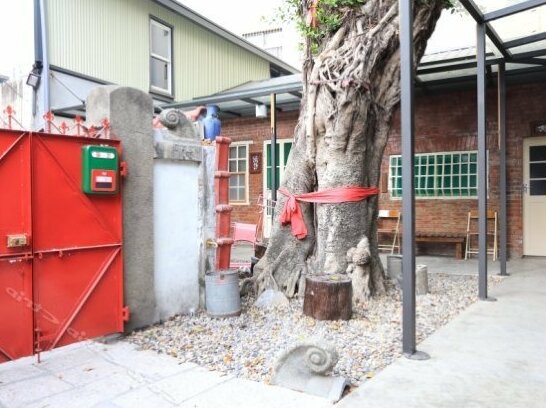 Ping Ang Tree - Photo3