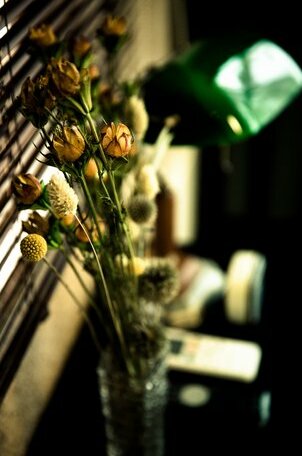 Through A Path - Photo3